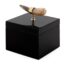 BOX HORN DECO