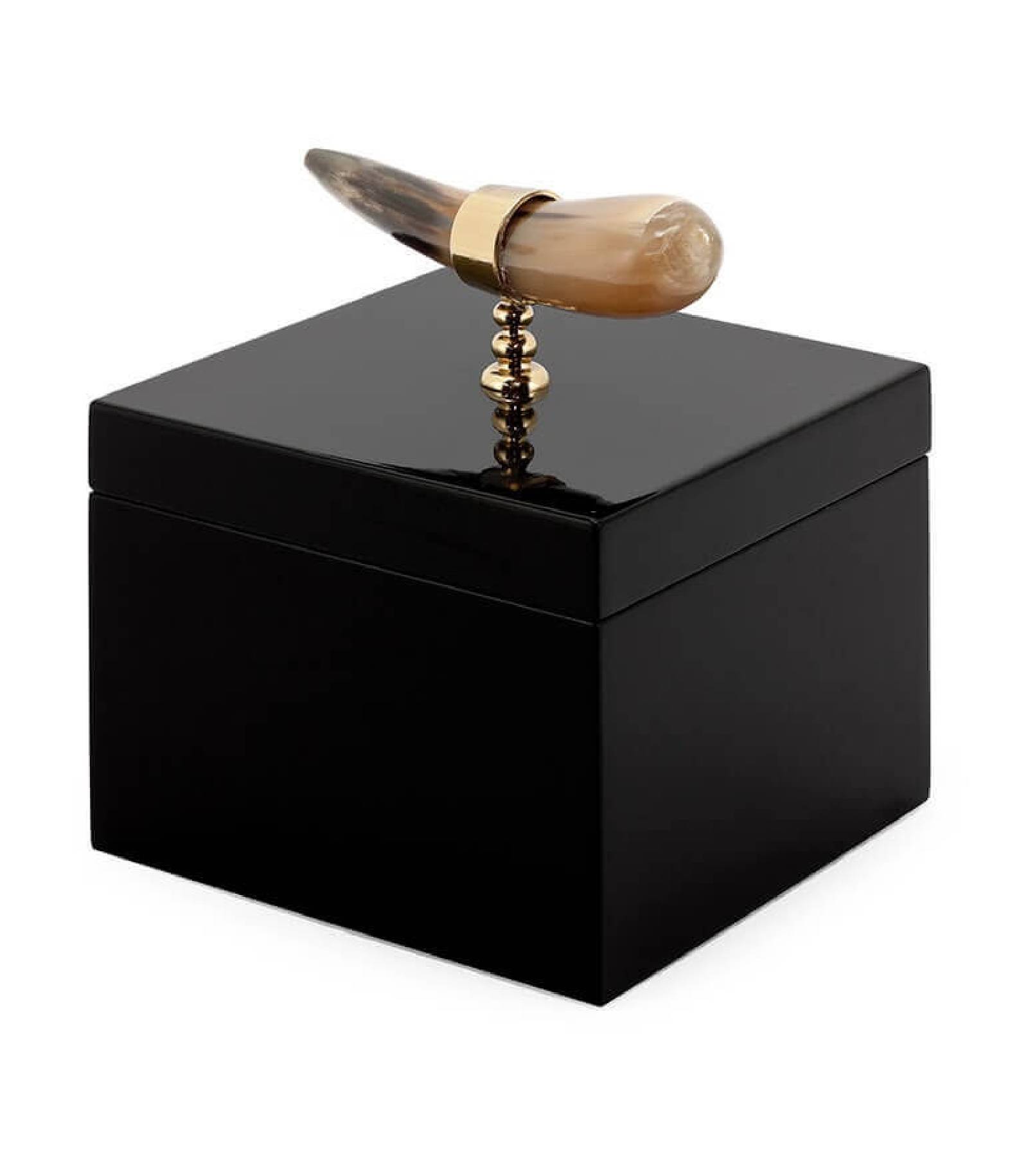 BOX HORN DECO